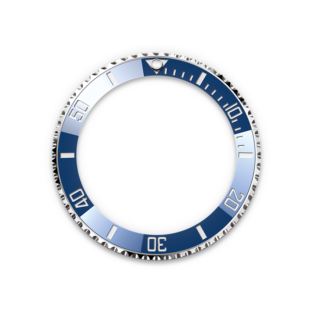 Rolex Submariner en Oro blanco de 18 quilates, M126619LB-0003 Vendemmia Joyero